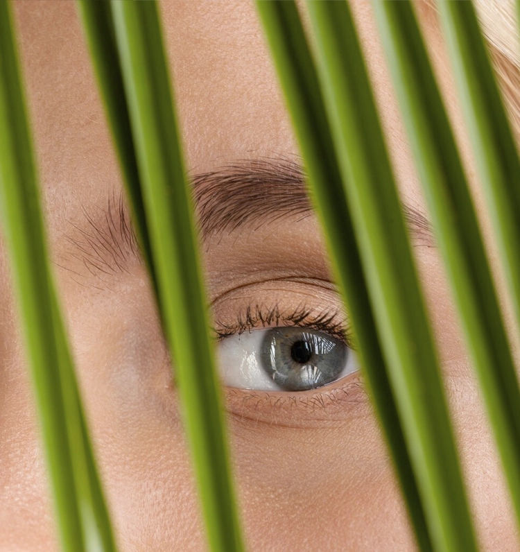 Blefaroplastia